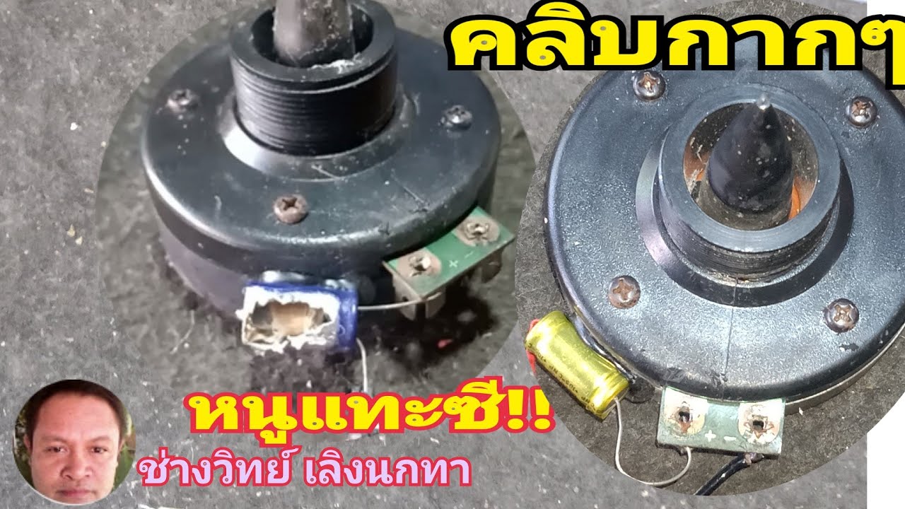 PF392 ลำโพงทวีตเตอร์หนูแทะซี คลิบกากๆ