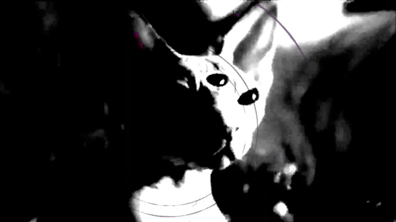 Psycotik Grezza-The Long Trip OFFICIAL VIDEO