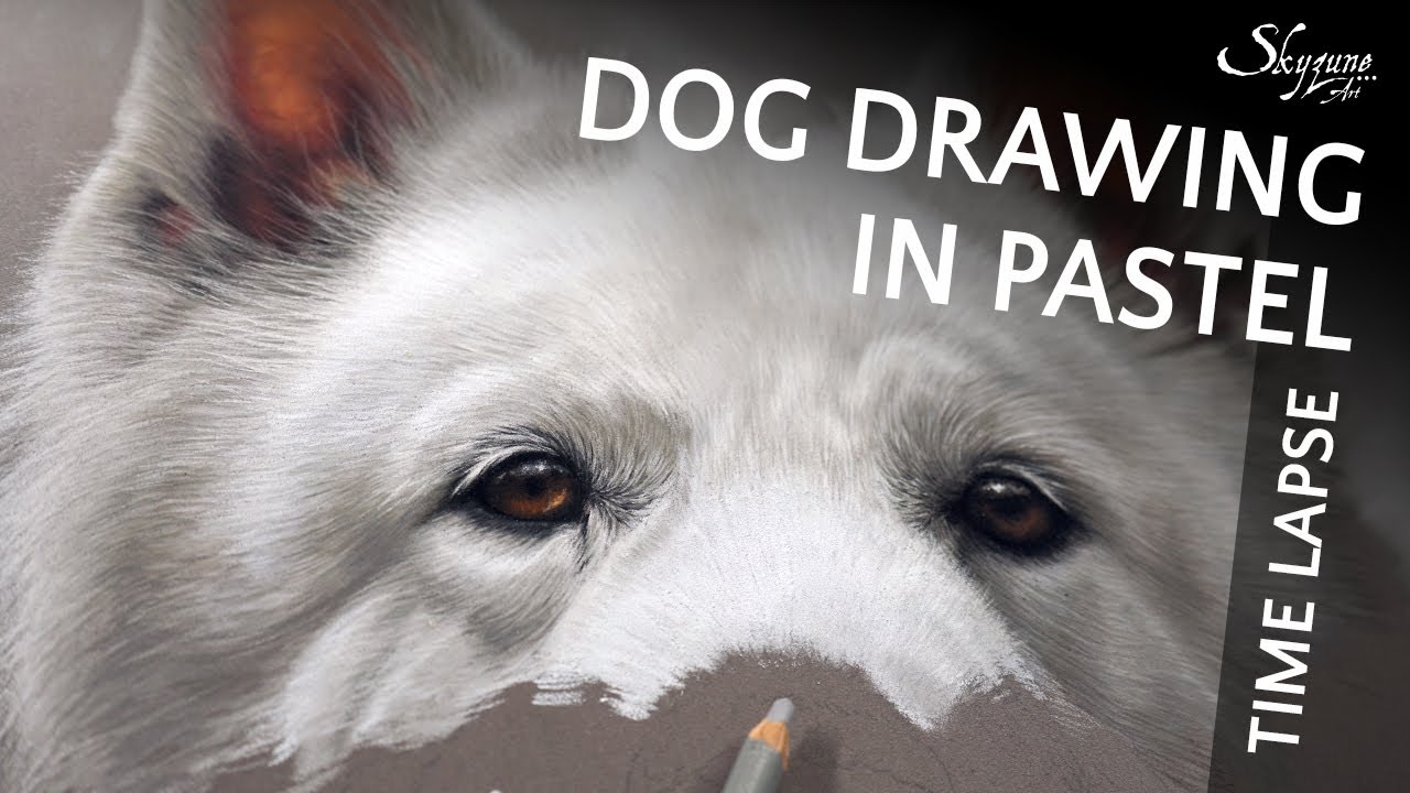 🎨 White dog drawing in soft pastel / Dessin d'un chien blanc au pastel sec • Time lapse