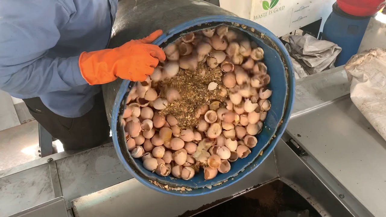 Trial processing of SUGUNA&rsquo;S hatchery waste at Waste IS Gold Technologies factory , Banaglore