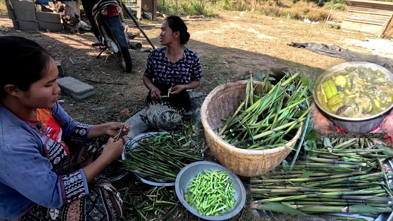 แกงหน่อไม้ไล่สดยามแล้ง//ແກງໜໍ່ໄມ້ໄລ່ສົດຢາມແລ້ງ
