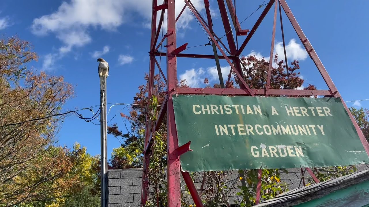 Save Herter Community Garden!