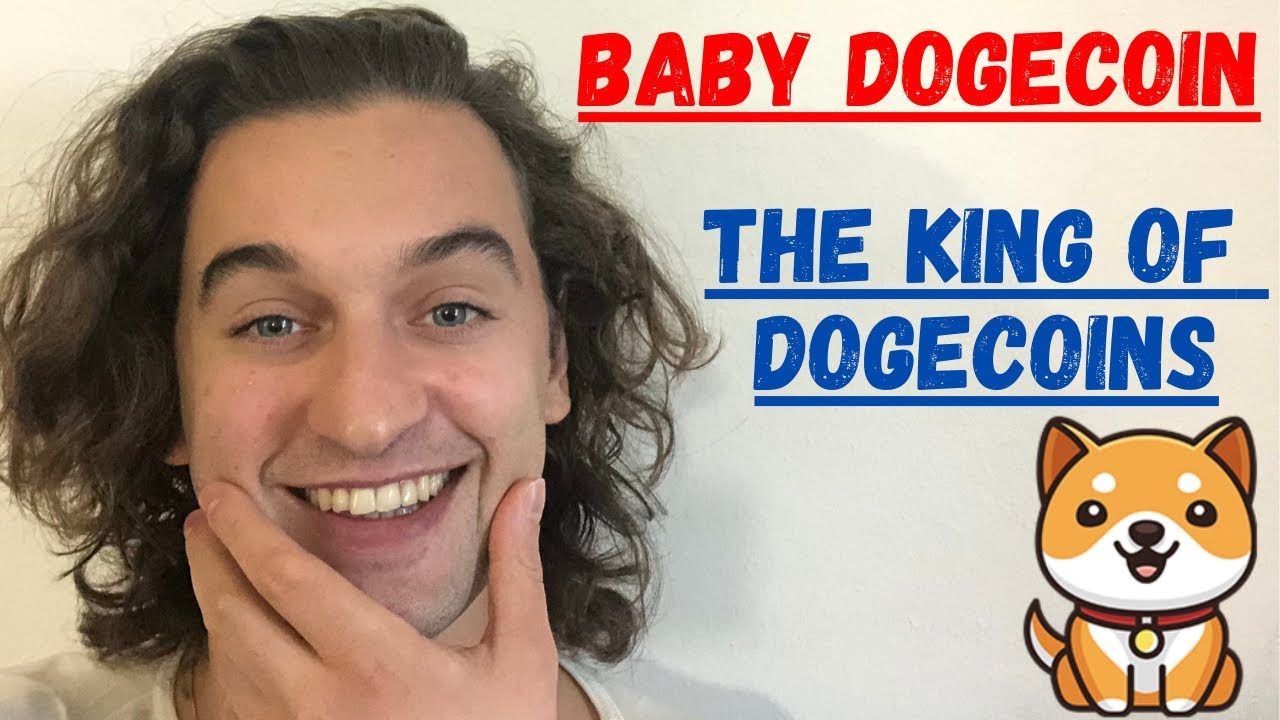 BabyDoge to $0.10 ? - BABY DOGE COIN Crypto Analysis