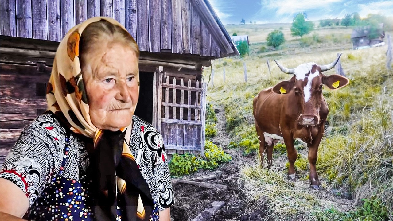 Life of a lonely 80 year old grandmother in a mountain village.. Far From Civilization