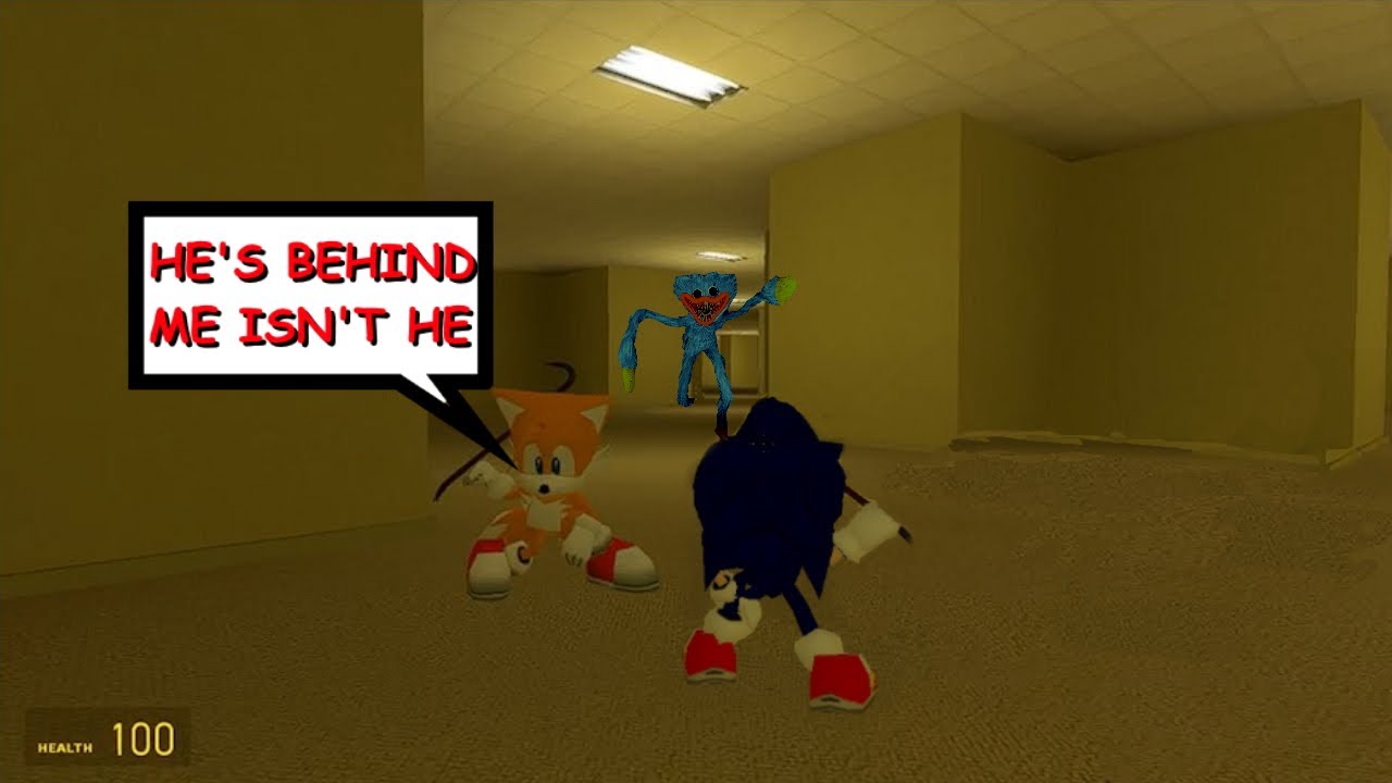 Sonic and Tails explore the Backrooms