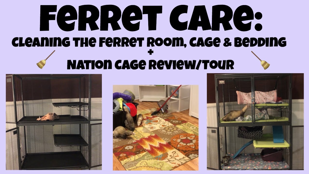 Cleaning the Ferret Room, Cage & Bedding + Cage Tour/Review