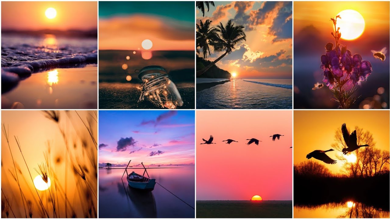 Картинки заката Dp для WhatsApp | Sunset Dpz | Обои заката | WhatsApp dp | Фотоизображения заката