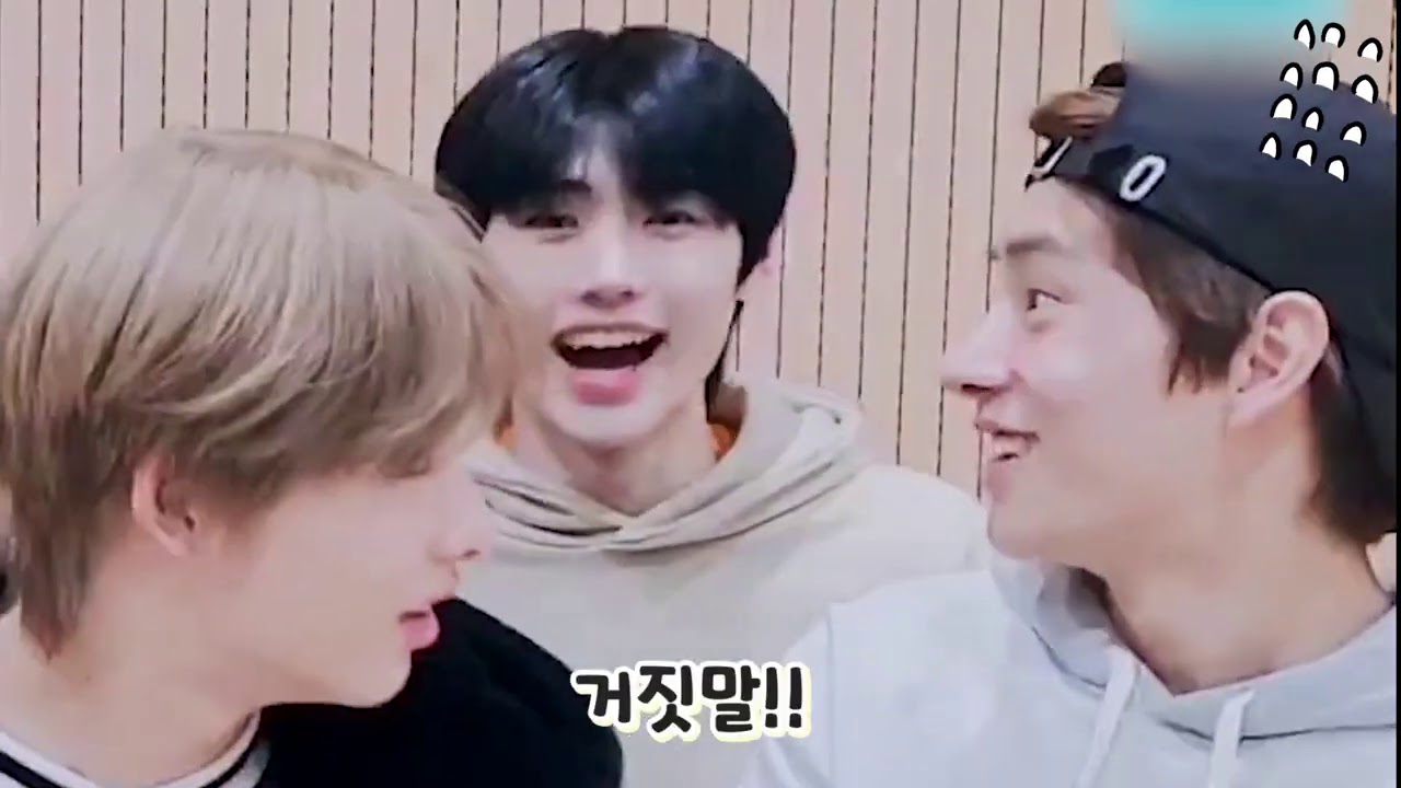 (ENG)[엔하이픈]매우 정신없는🤯 잠꼬대 토론회🌙 Enhypen's Sleep talks