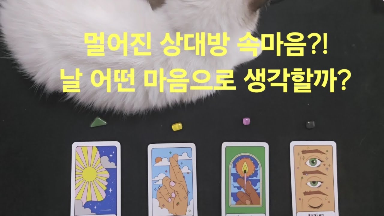 [타로] '멀어진' 상대방 속마음(나를 어떻게 생각하나?)