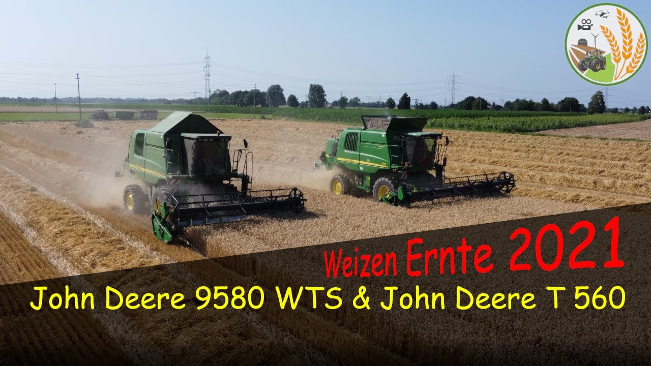 Weizen Ernte 2021 (4k)  Landwirtschaftlicher Betrieb Sattler