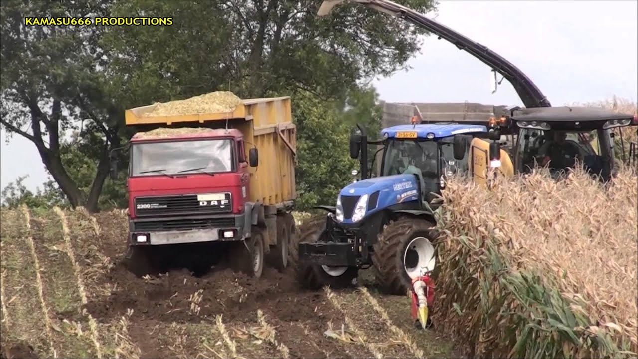 Mais Hakselen 2014 : Firma Mertens, modderen in de mais, New Holland FR9060, New Holland T7,Daf 2300