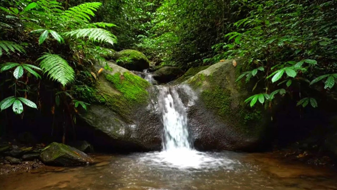 PEACEFUL WATER SOUNDS ASMR | NATURAL RIVER STREAM AMBIENCE FOR SLEEP, FOCUS, AND RELAXING
