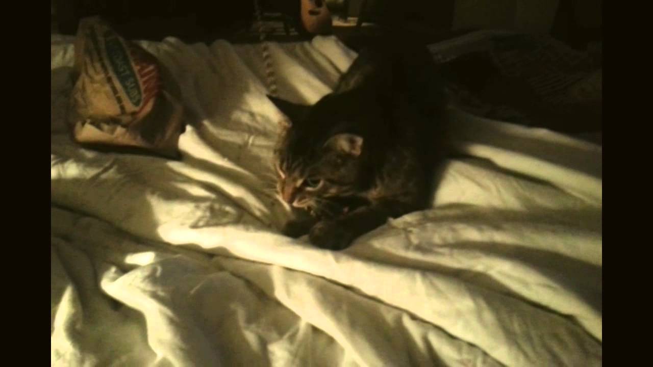 Upward Over the Mountain Ukulele Cover