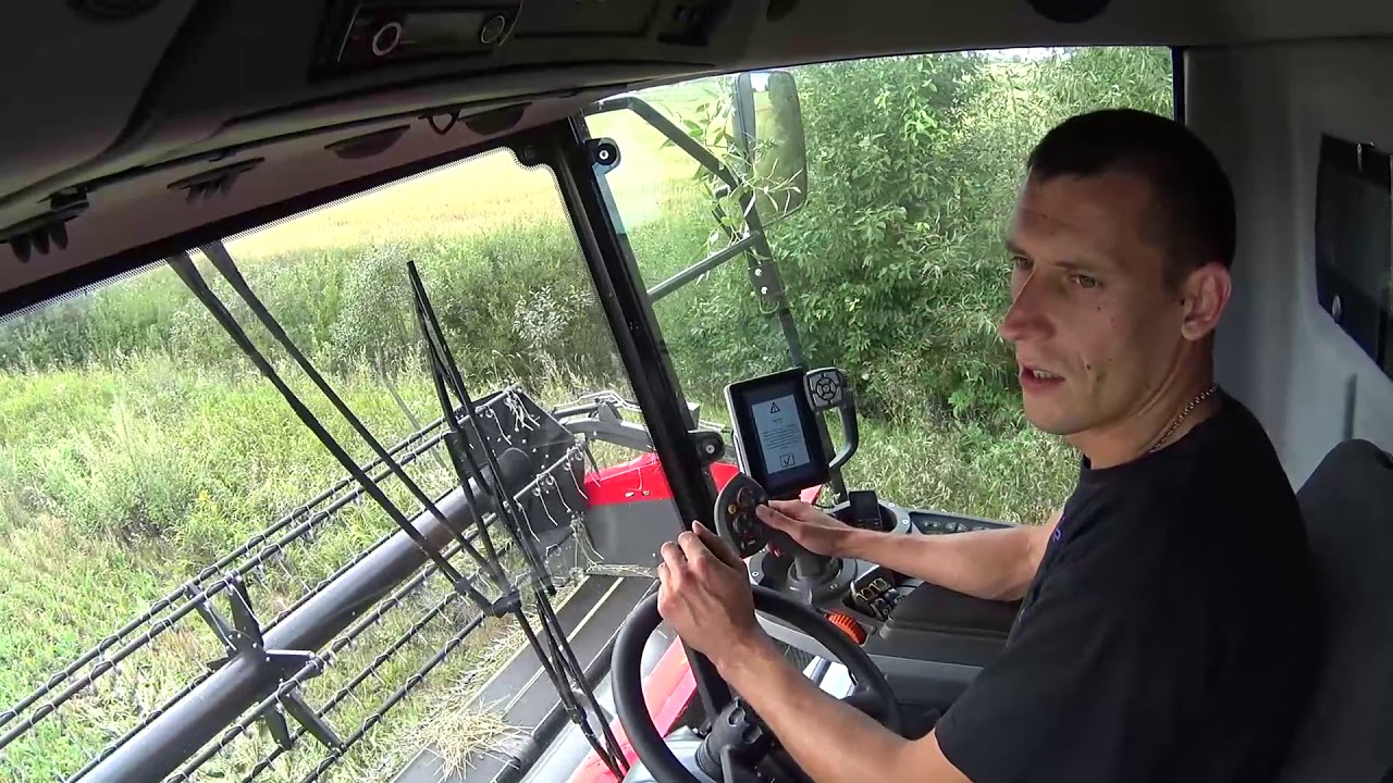 7 августа. Начали молотить пшеницу, загрузка фуры  Massey Ferguson 7347s.