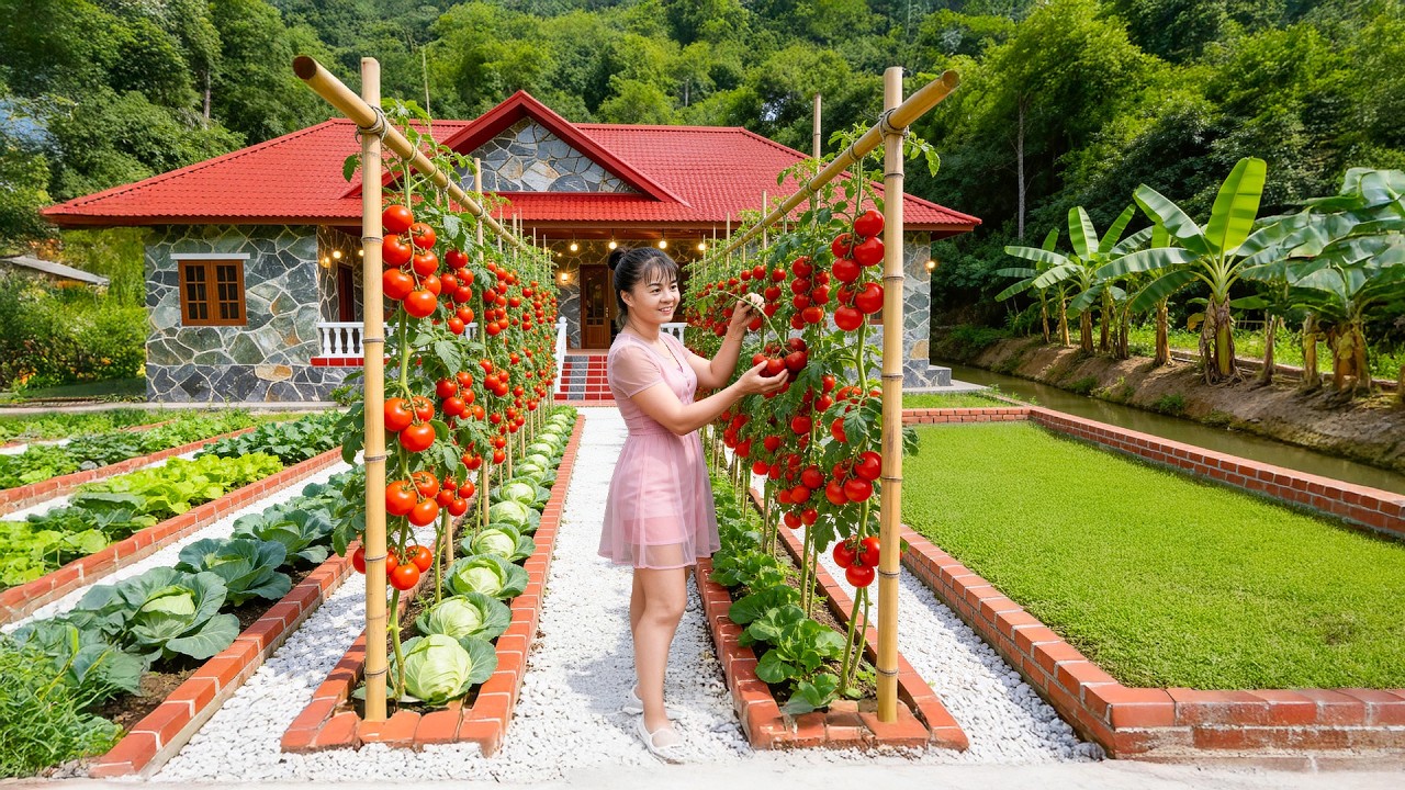 Homemade Tomato Soup | Harvesting Fresh Tomatoes in a Small Garden to Preserve for Winter