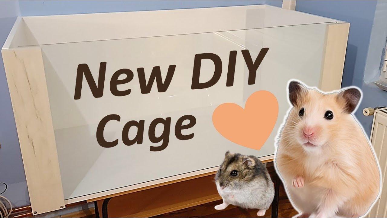 How to Make a DIY Hamster Cage