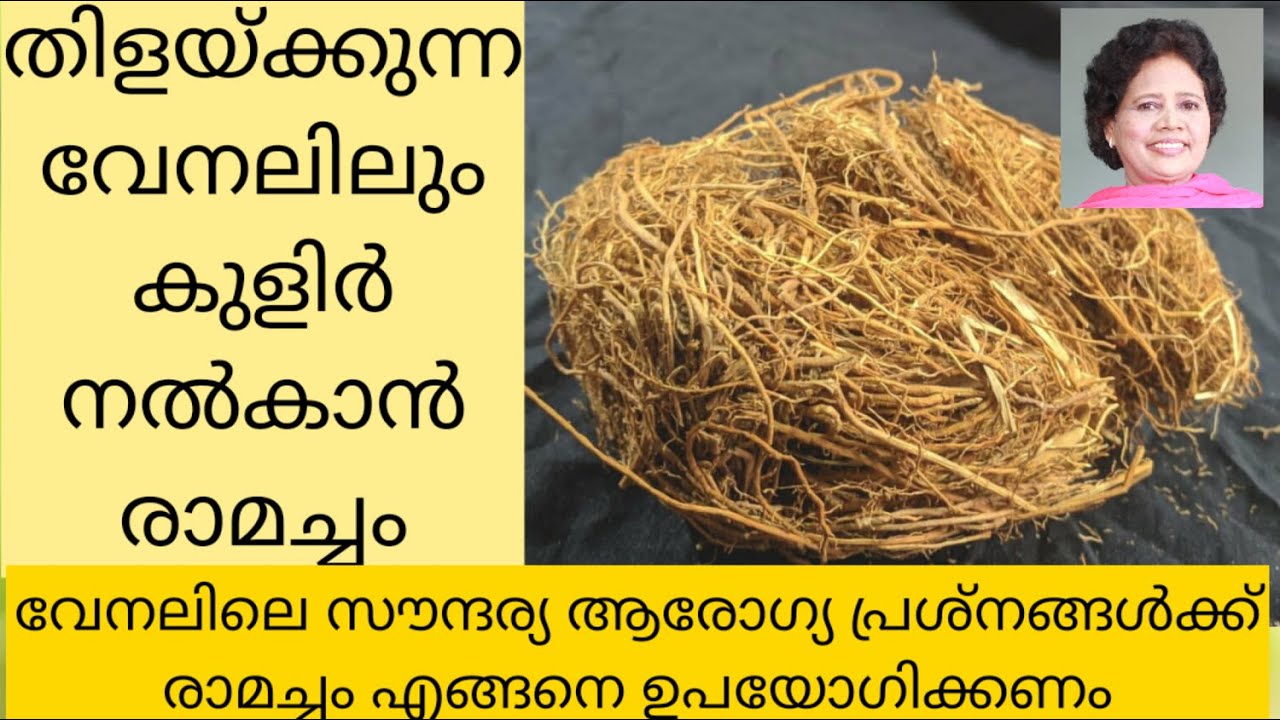 രാമച്ചം: തണുപ്പ് നൽകാനും സൗന്ദര്യത്തിനും   | Dr Lizy K Vaidian