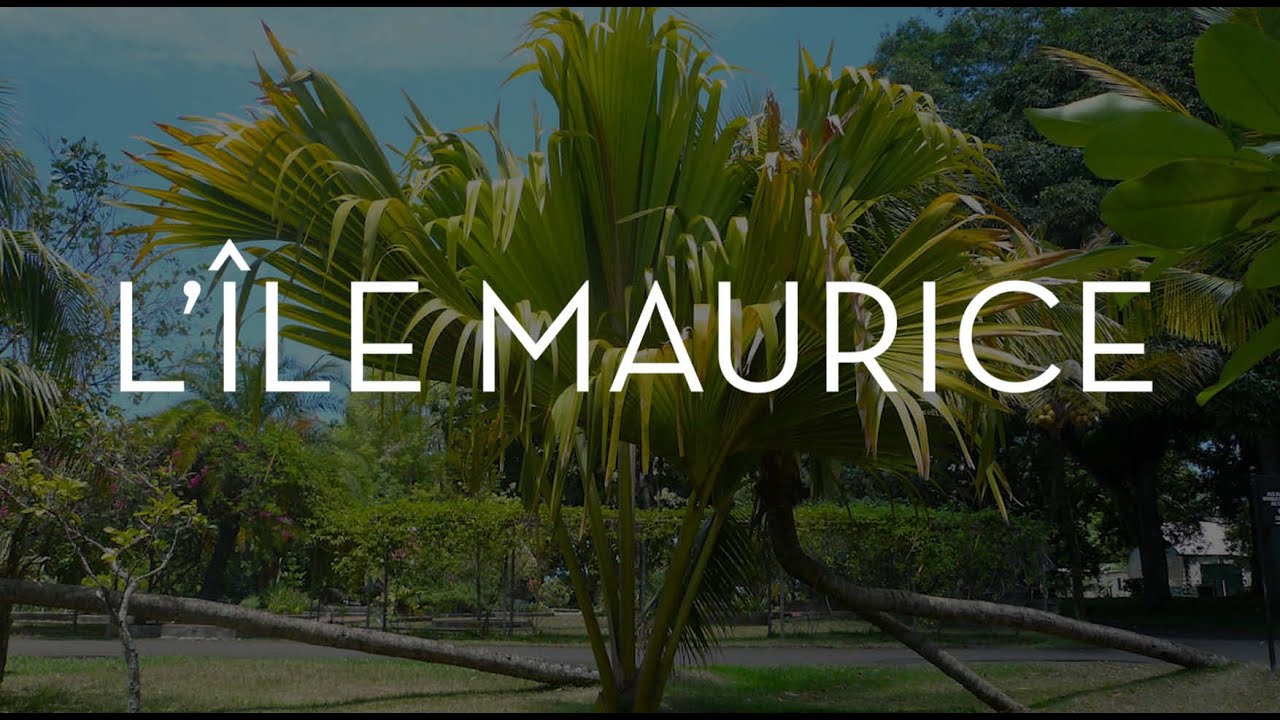 CARNET DE VOYAGES by Hervé : l'Île Maurice