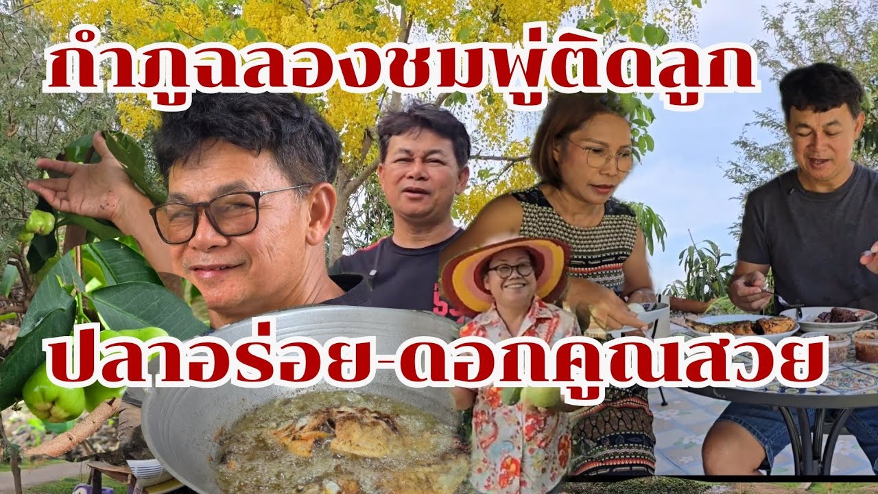 กำภูฉลองชมพู่ติดลูก ดอกคูณงาม ปลาอร่อย #บ้านสวนกำภูEp1317