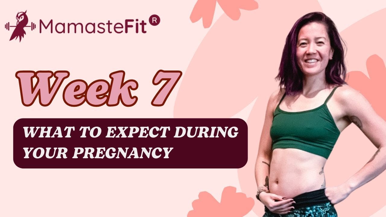 Week 7: What to Expect During Your Pregnancy + Gina's Pregnancy Journey!
