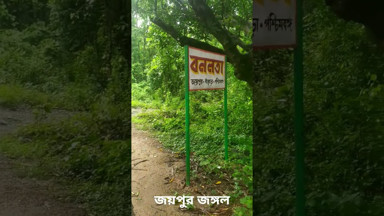 joypur jungle