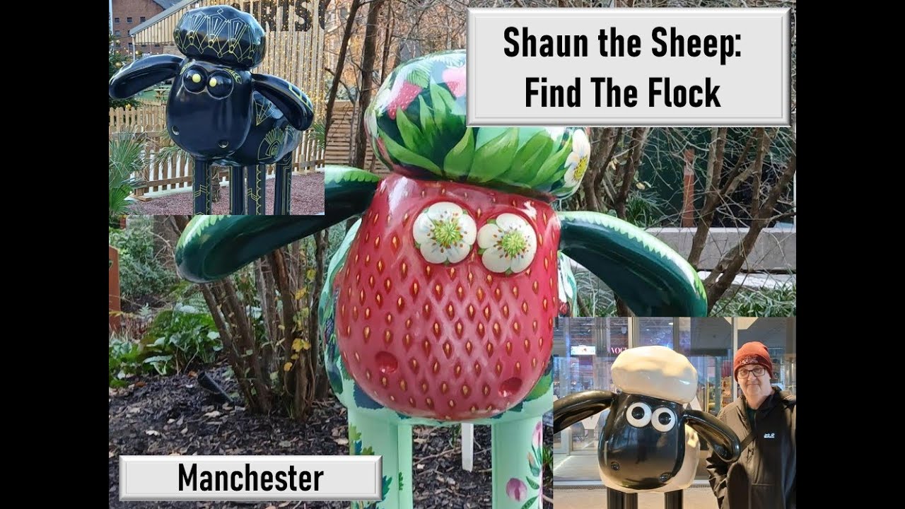 Shaun the Sheep: Find The Flock, Manchester