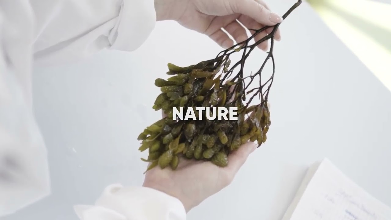 Discover TIMAC AGRO Innovation Center : Centre Mondial de l'Innovation Roullier