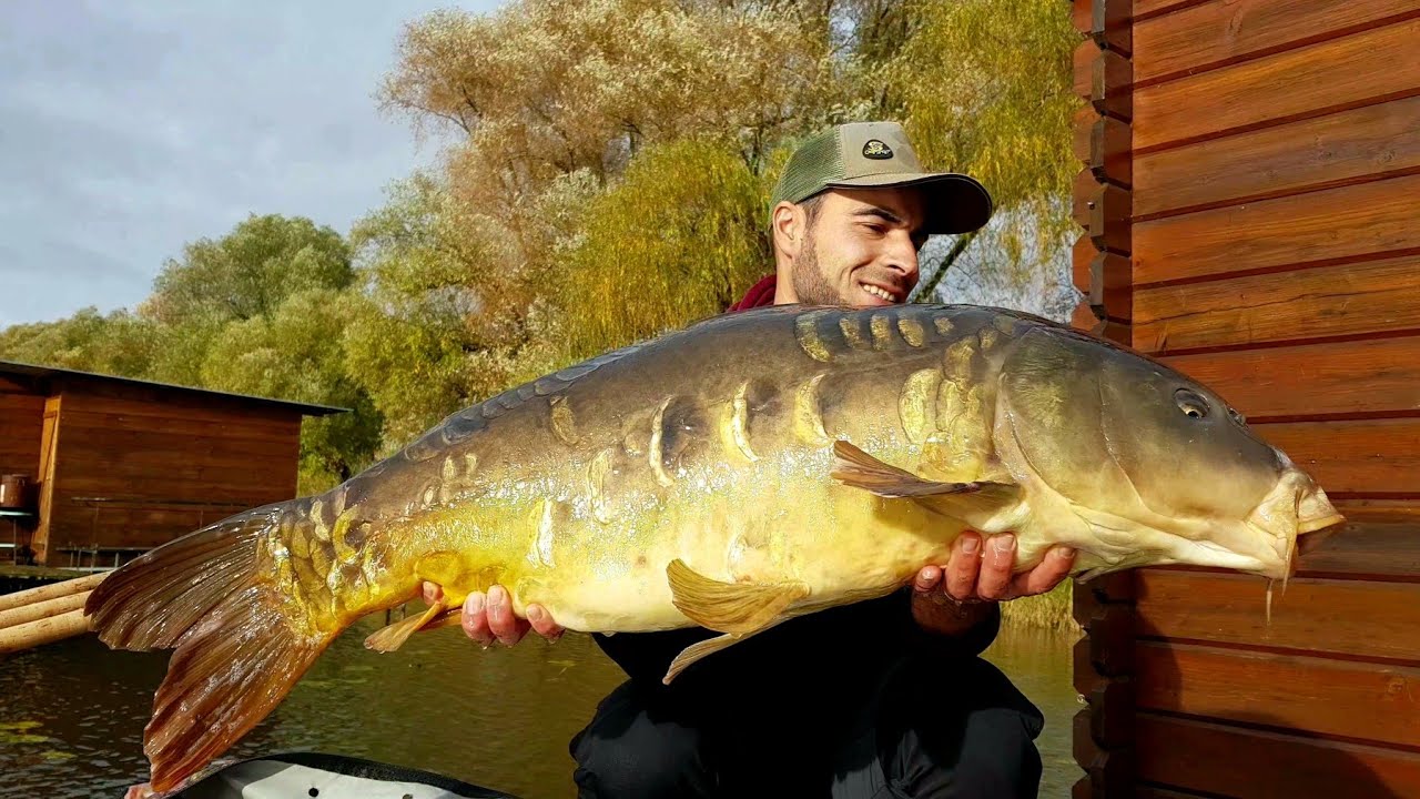 Pêche à la Carpe en Moselle