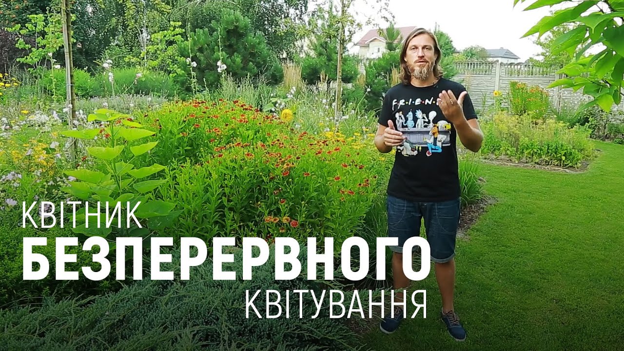 ЛАНДШАФТНИЙ ДИЗАЙН | КВІТНИК БЕЗПЕРЕРВНОГО КВІТУВАННЯ