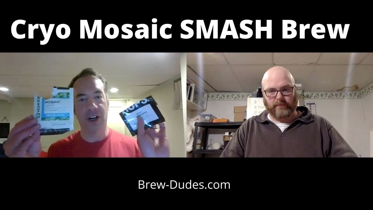 What Do Mosaic Cryo Hops Taste Like?  SMaSH Beer Experiment