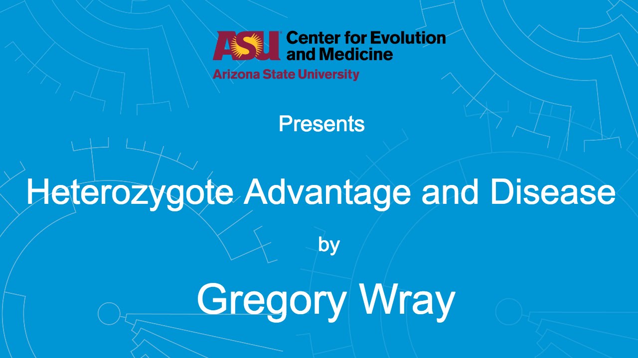 Przewaga heterozygotyczna i choroba | Gregory Wray