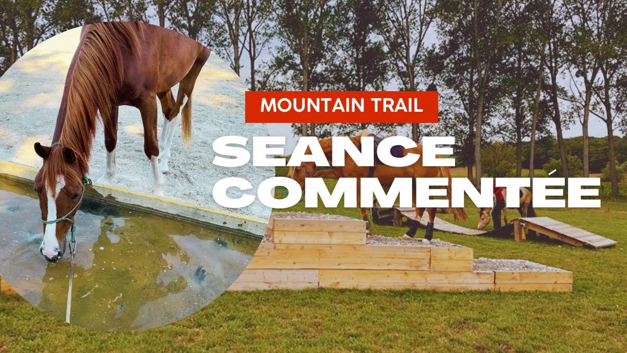 Séance commentée: Mountain Trail