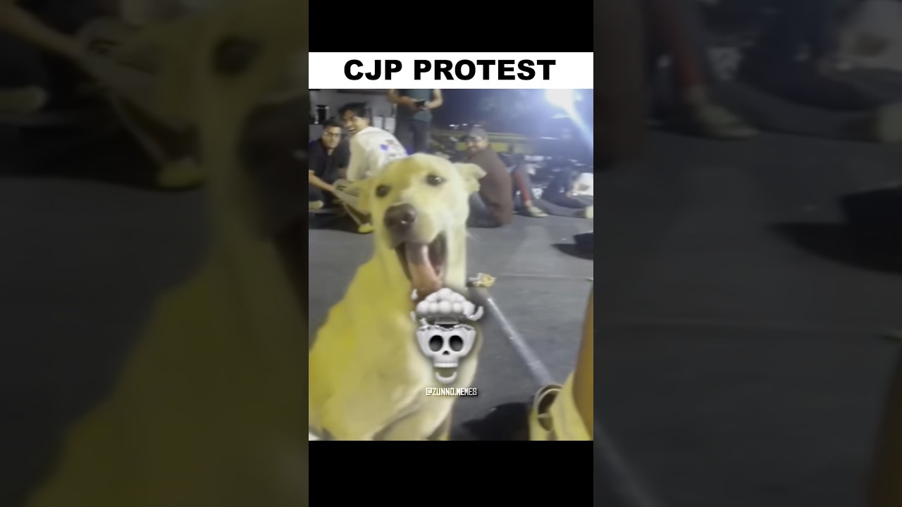 Cjp Protest🥶💀 #collegelifememes #cjpprotest #boysmemes #funny #fyp #trendingshorts