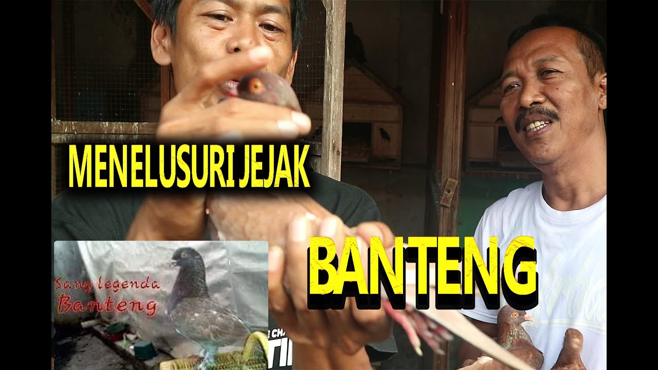 KUPAS TUNTAS JEJAK MERPATI BANTENG LEGENDA PANTURA