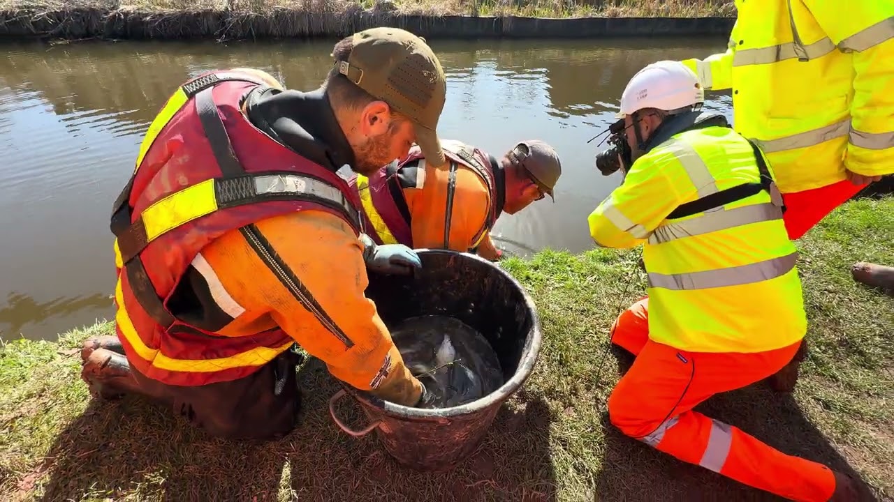 Спасение находящихся под угрозой исчезновения рыб в зоне прорыва