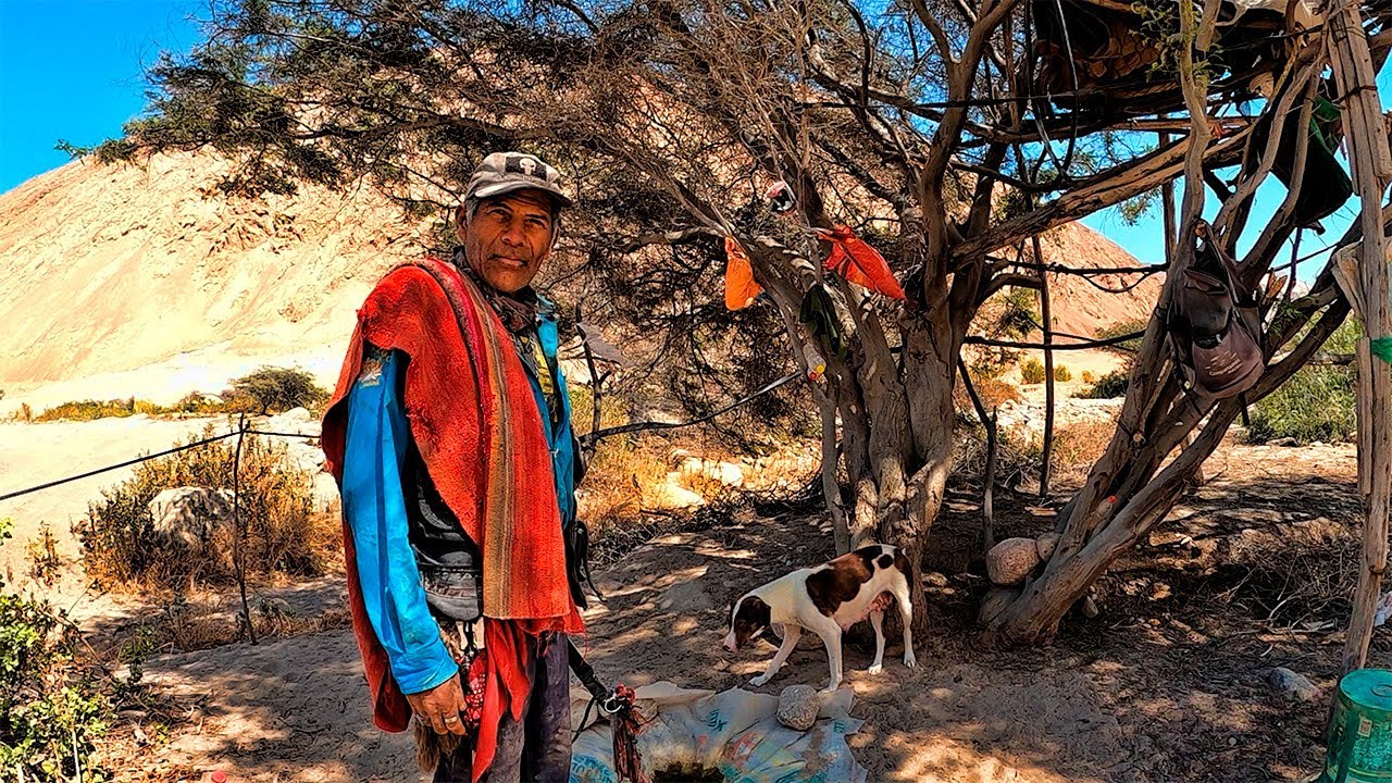HIZO DEL DECIERTO SU HOGAR RODEADO DE SUS MASCOTAS VIVE EN PAZ Y ARMONIA LEJOS DE LA CIVILIZACION
