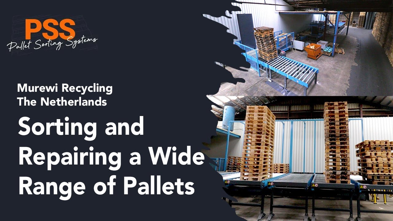 Sorting and repairing a wide range of pallets | PSS - Murewi Recycling The Netherlands