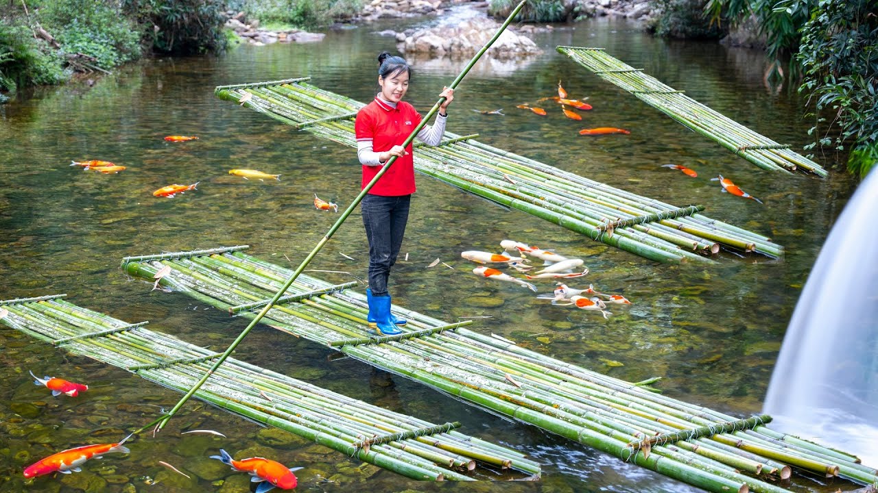 Process of making bamboo rafts - Harvesting and Crafting | Ella Daily Life