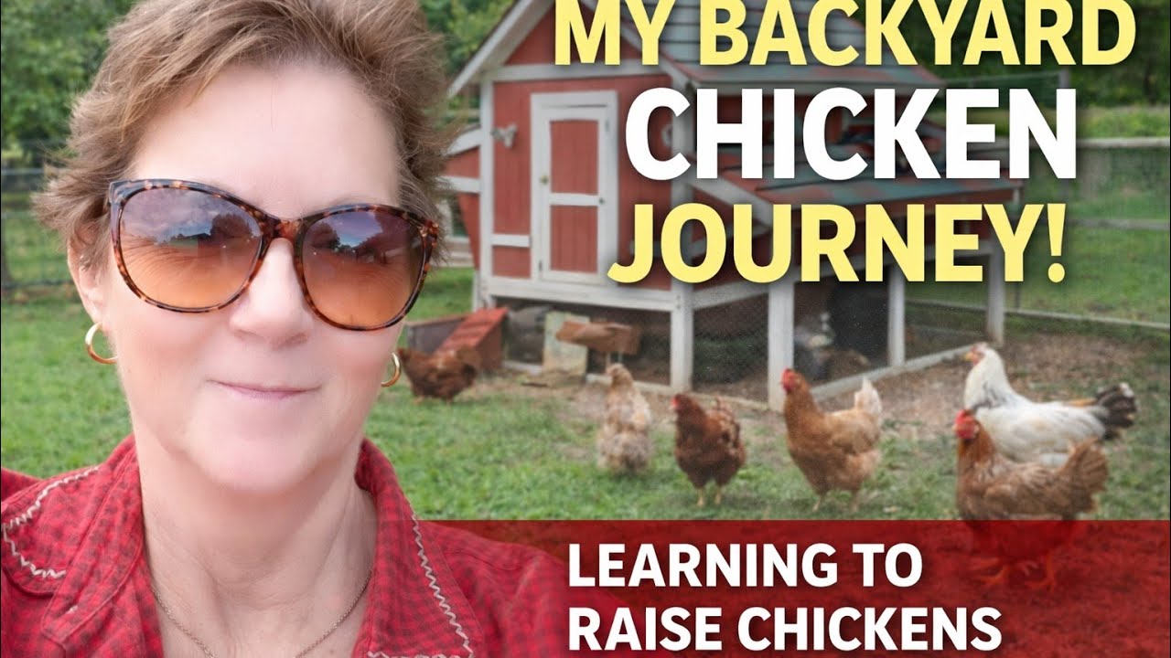 Raising Backyard Chickens - My Real Life Journey #nature #chicken #healthy 