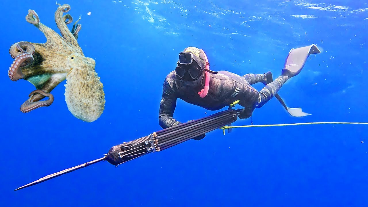 Octopus and OFFSHORE Spearfishing | Florida Keys Adventure!