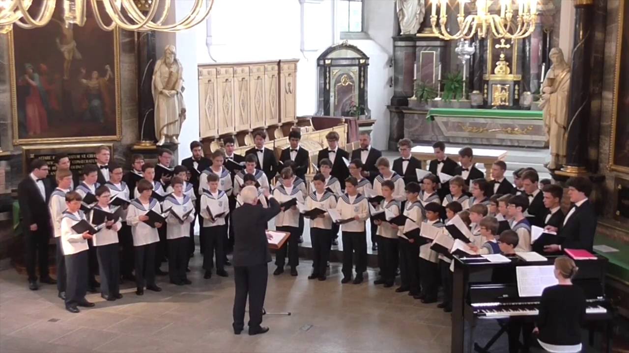 Victoria: Missa O quam gloriosum | Agnus Dei - Z&uuml;rcher S&auml;ngerknaben