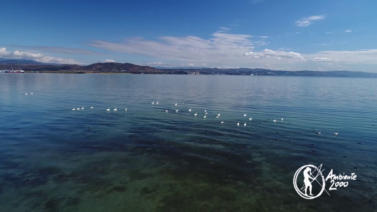 Lido di Staranzano