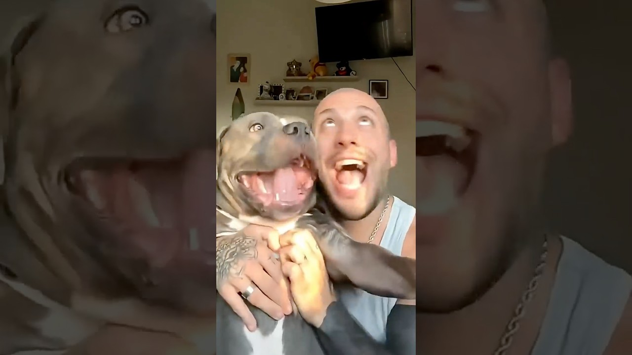 Dogs That Look Like Their Owners &ndash; Too Funny! 😂🐾