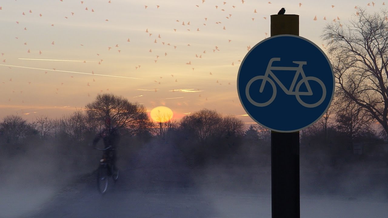 Fahrradfahrt im Nebel | Cycling in Fog | Bici en la niebla