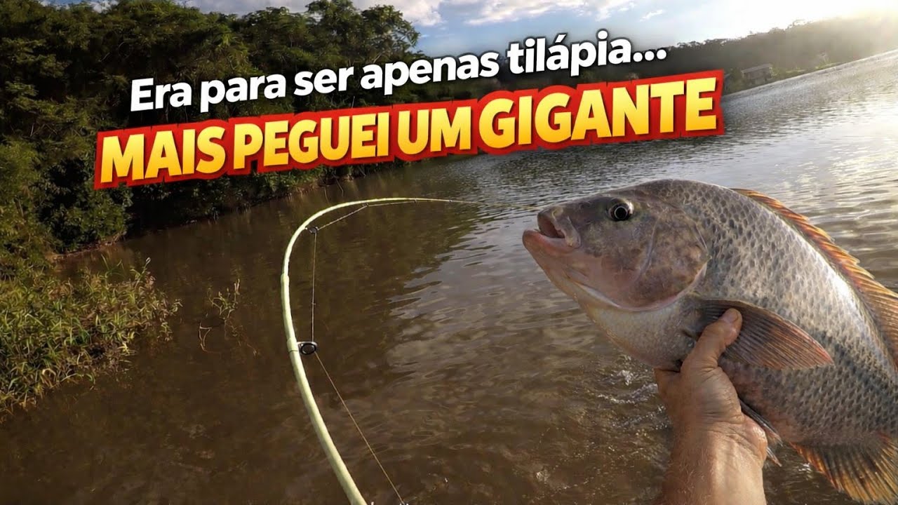 Fui pescar no paraíso das tilápias| Mas acabei capturando um monstro🔥😱🎣.  1°parte 