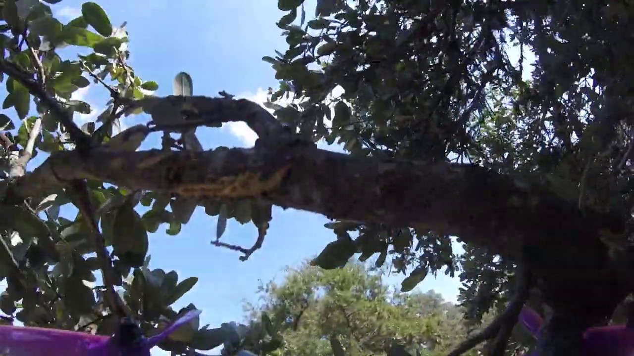 FPV Journal - Meetup Weekend - Aug 2019