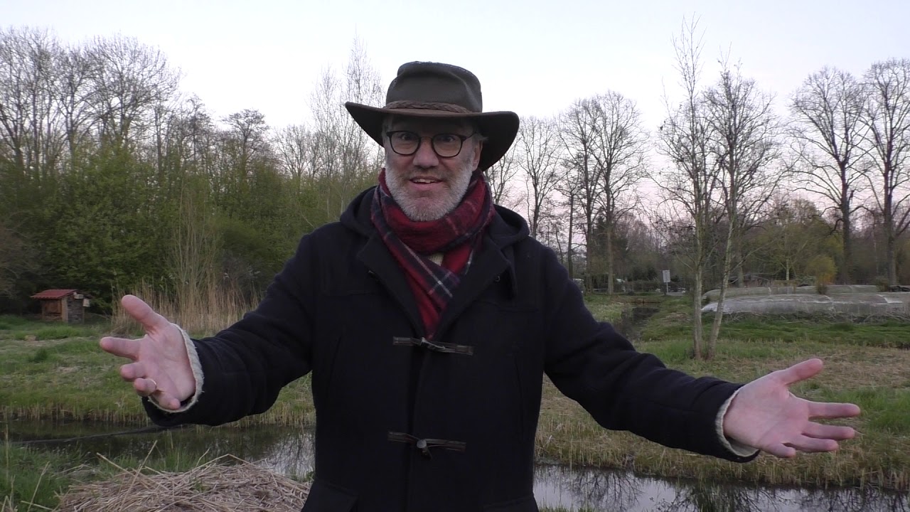 Vlog N° 126 Op zoek naar stinzenplanten