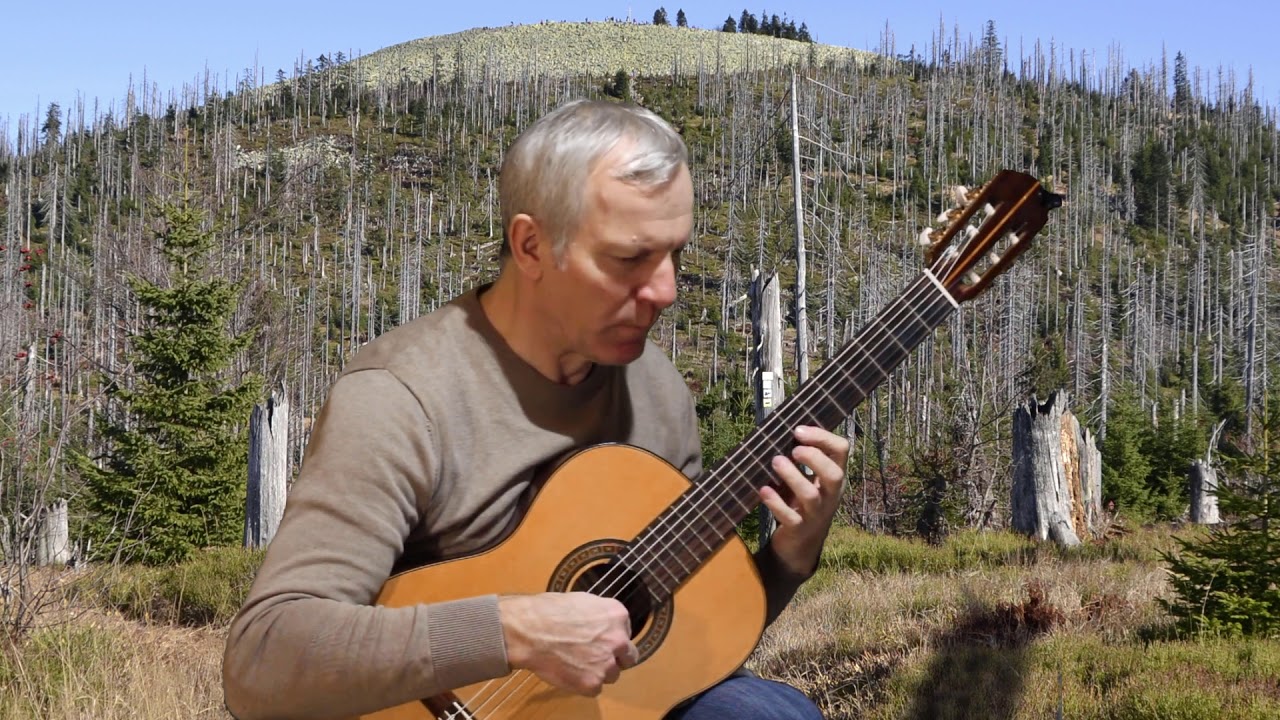 Hauswalzer Sepp Karl - Alpenländische Weise für Gitarre