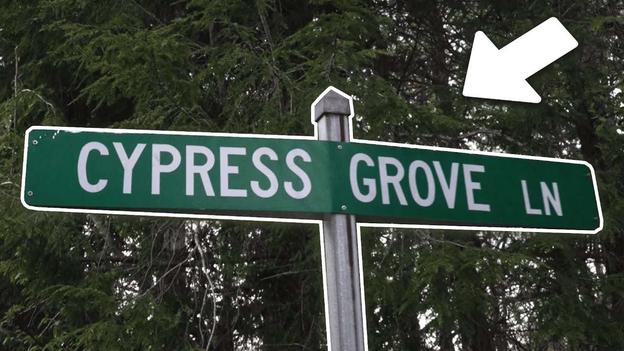 we visited glaives hometown (asheville show)