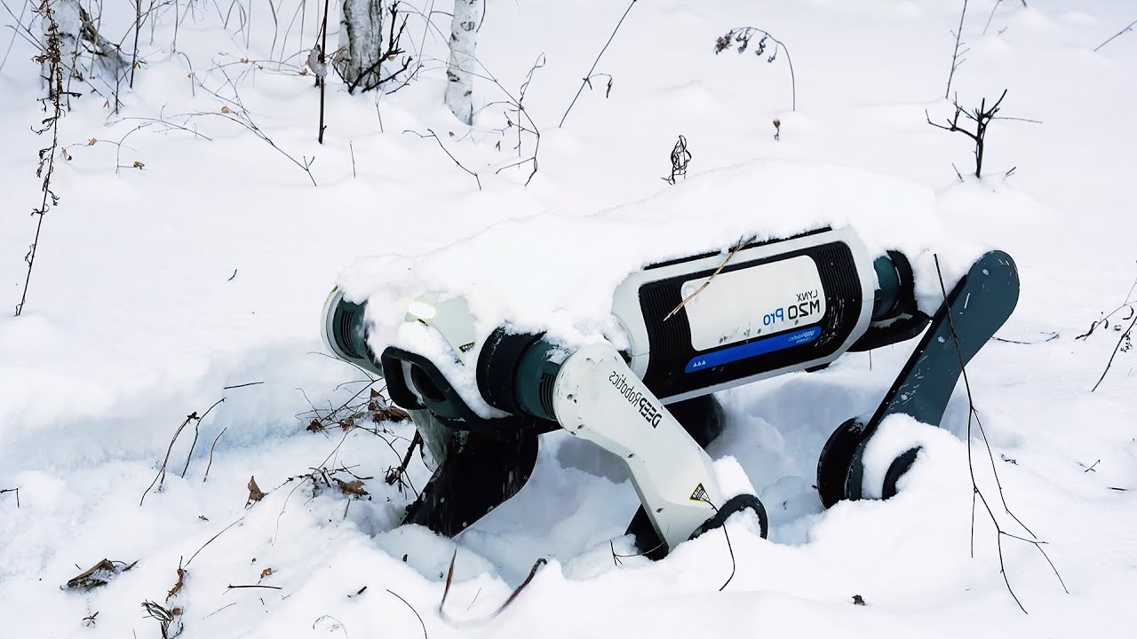 Этот робот пережил снегопад при температуре &ndash;30&deg;C&hellip; Люди бы не выдержали (испытания M20 в экстрема...